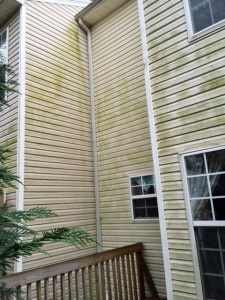 Dirty and moldy house before vinyl siding Greenville Low pressure washing residential pressure washing