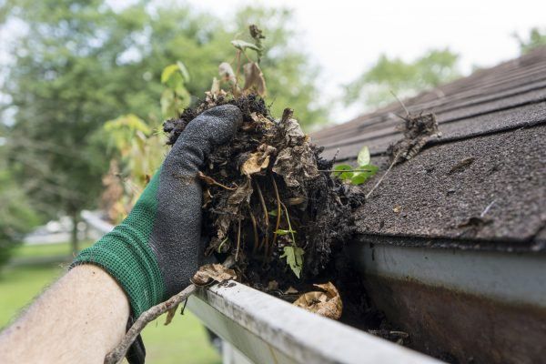 Gutter Cleaning in Greenville, Gutter Cleaning in Simpsonville, Gutter Cleaning in Greer, Gutter Cleaning in Five Forks, Gutter Cleaning in Taylors, Gutter Cleaning in Travelers Rest, Gutter Cleaning in Maudlin, Gutter Cleaning in Fountain Inn, Gutter Cleaning in Overbrook, Gutter Cleaning in Sans Souci, Gutter Cleaning in Spartanburg, Gutter Cleaning in Duncan, Gutter Cleaning in Easley, Gutter Cleaning in Powdersville, Gutter Cleaning in Cherrydale, Gutter Cleaning in Woodruff, Gutter Cleaning in Reidville, Gutter Cleaning in Lyman, Gutter Cleaning in Marietta, Gutter Cleaning in Willow Heights,